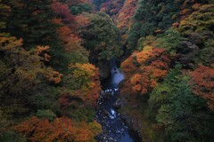 奥多摩紅葉渓谷 奥多摩紅葉渓谷