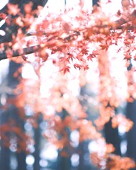 晩秋～みずほエコパーク