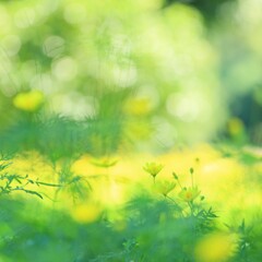 レモンブライト～昭和記念公園4