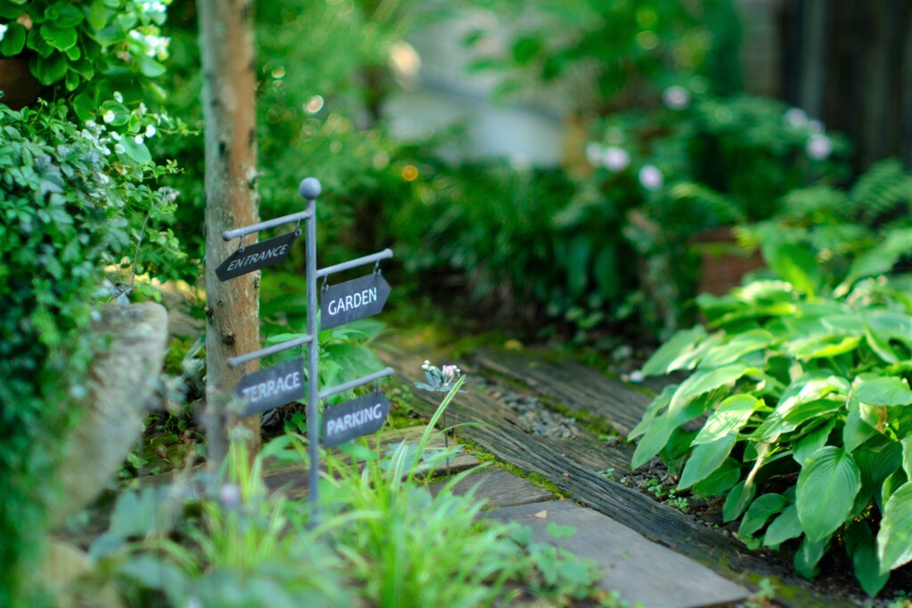 入口です♪～TeaRoom