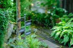 入口です♪～TeaRoom