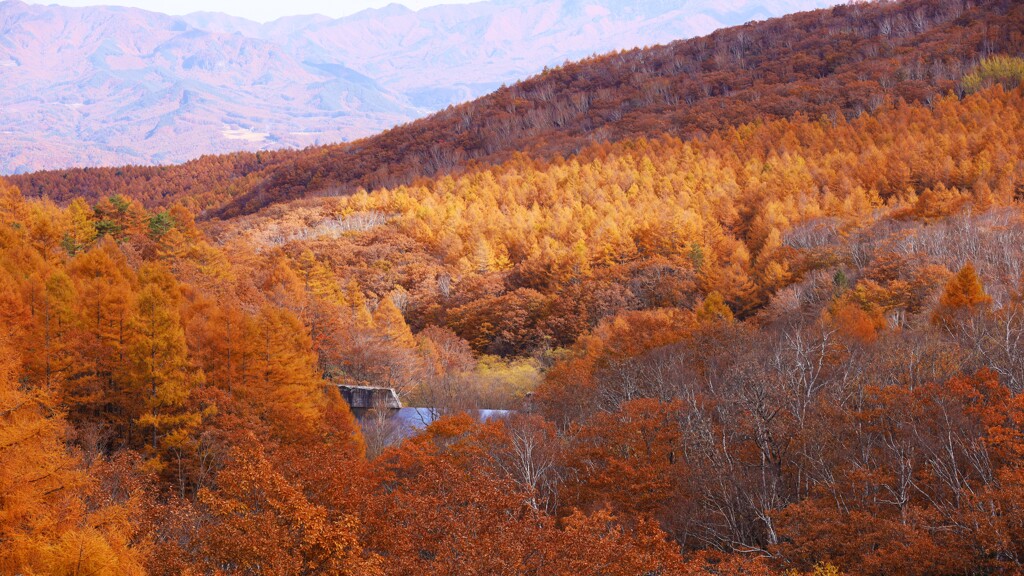 koyo dam wide