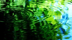 先週の残暑3