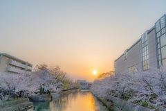 夕日