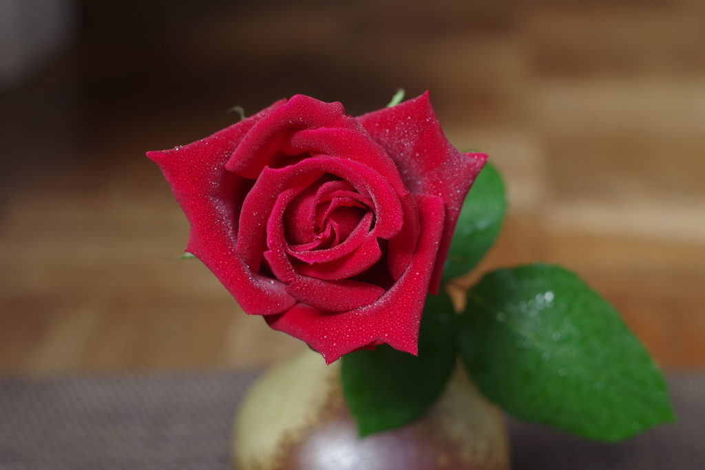 薔薇　