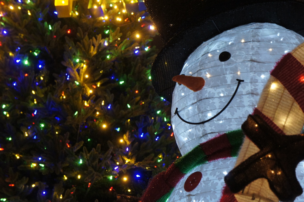 Snow Man