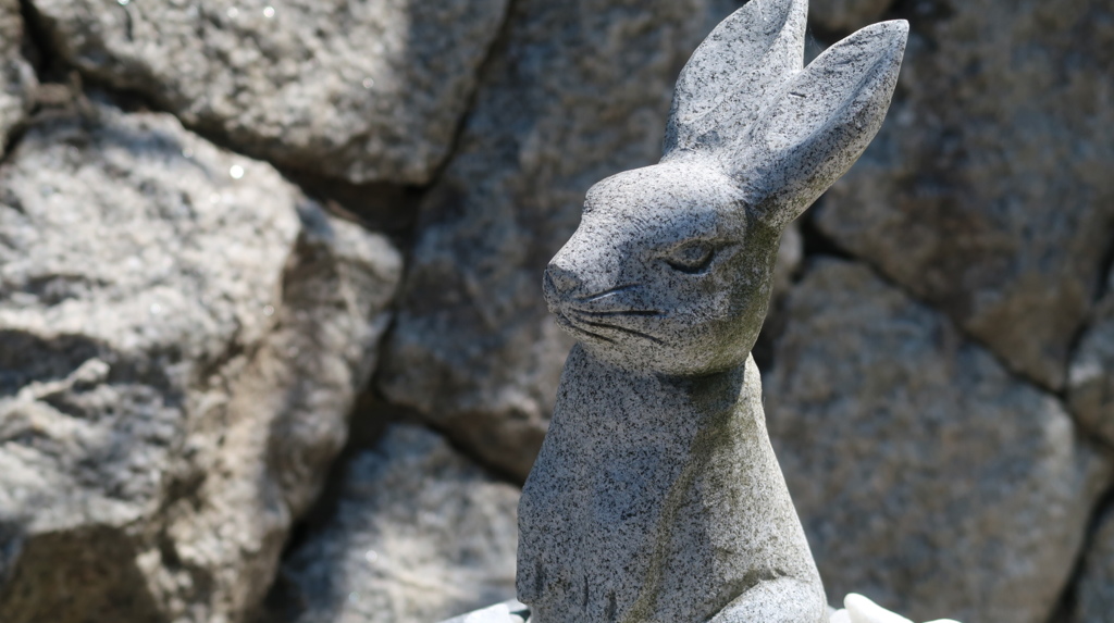 8992230D-B8C8-4E98-923C-4D2DC899784C