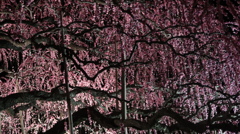 0D1923C3-AE60-4D2A-826E-9AEDD2BEA04E