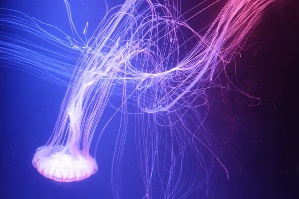 68F85043-5518-4000-A54E-C06FEB3B9461