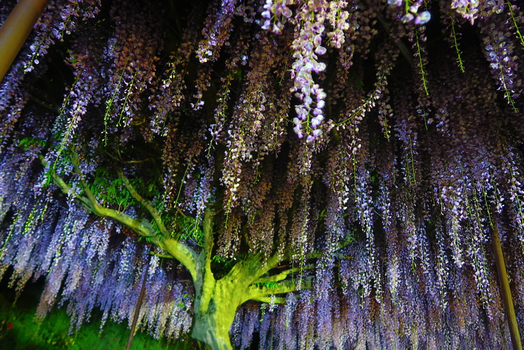 56502779-CEE6-49A7-843A-CA1F488988DF