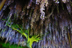 56502779-CEE6-49A7-843A-CA1F488988DF