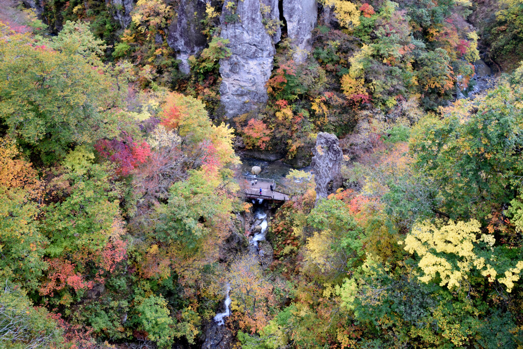 鳴子峡の紅葉