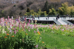 里山ガーデン