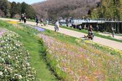 里山ガーデン