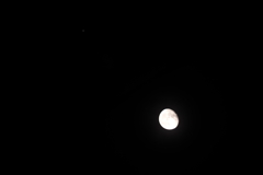 月と金星。