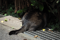 頭隠して。