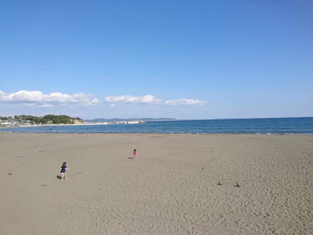海岸。