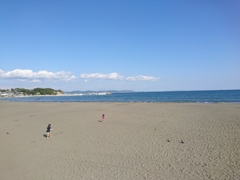 海岸。