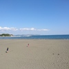 海岸。