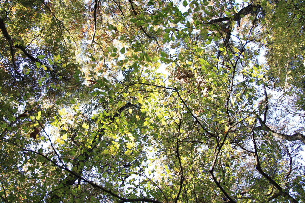 撮っ散らかり。