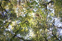 撮っ散らかり。