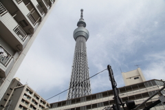 団地とスカイツリー。