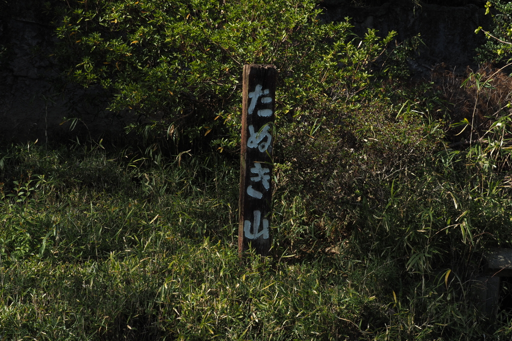 たぬき山。