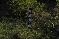 たぬき山。