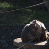 いとなみ。