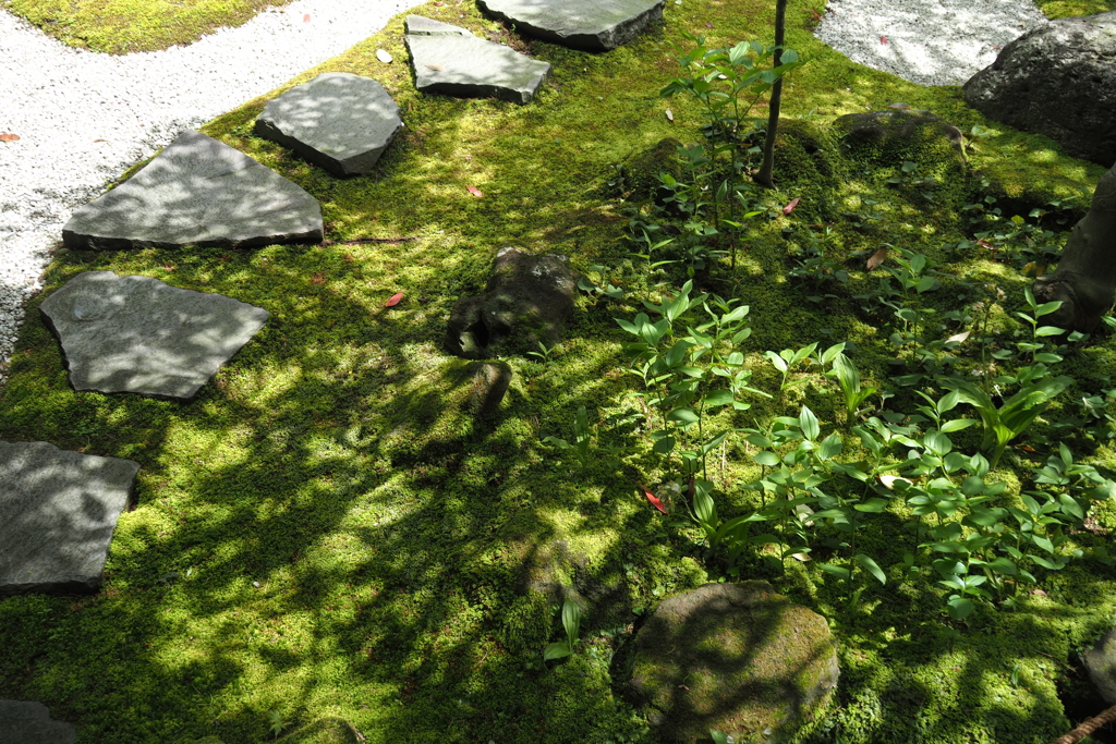 わびさび。