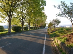 道路。