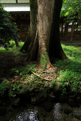 差し込む光