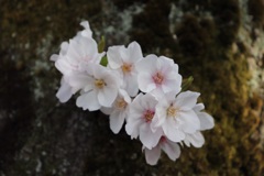 459AD325-8FE3-4F85-A0BA-0167DD45E7CE