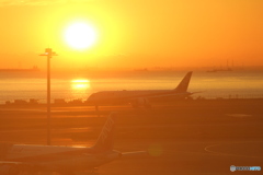 朝日と飛行機