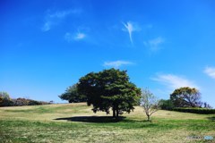晴れ渡る心