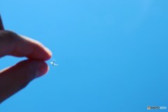 大好きな飛行機をこの手の中に！