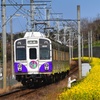 菜の花と鉄道