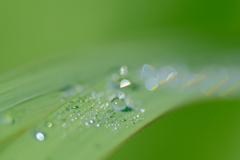水滴４