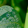 水滴２