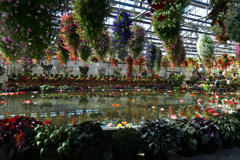 flower1002362