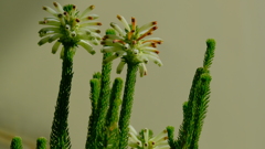 201123-2