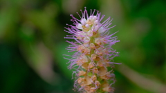 201227-8