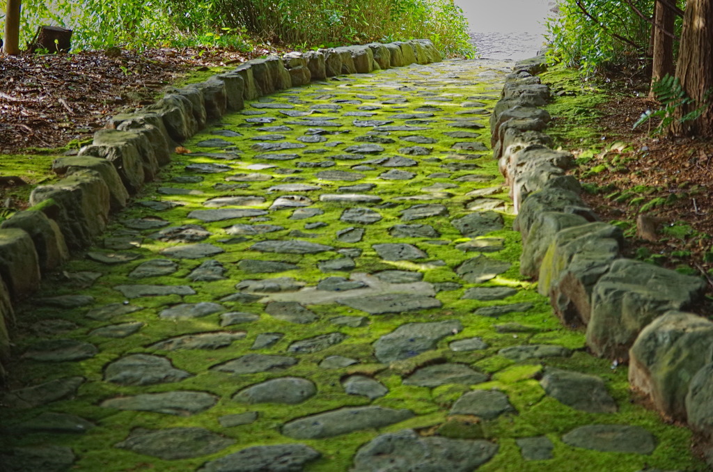 moss5058