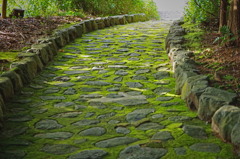 moss5058