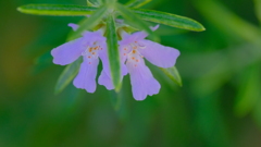 201123-1