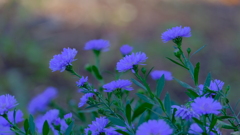 201128-6