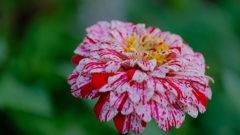 201205-2