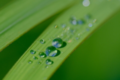 水滴３