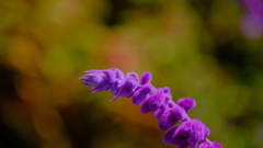 201123-4