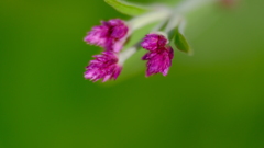 201123-7